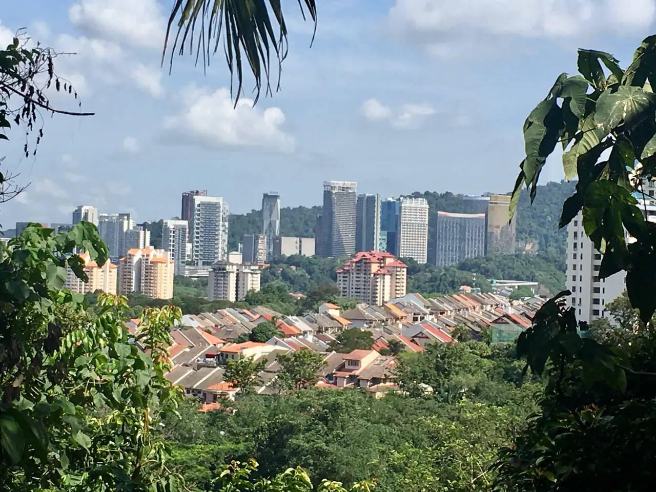 Terrace house roofs in Taman Tun Dr Ismail and Damansara Perdana seen from Bukit Kiara Park