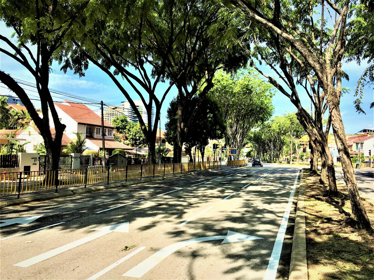 Tree-lined Jalan Burhanuddin Helmi in Taman Tun Dr Ismail looking west
