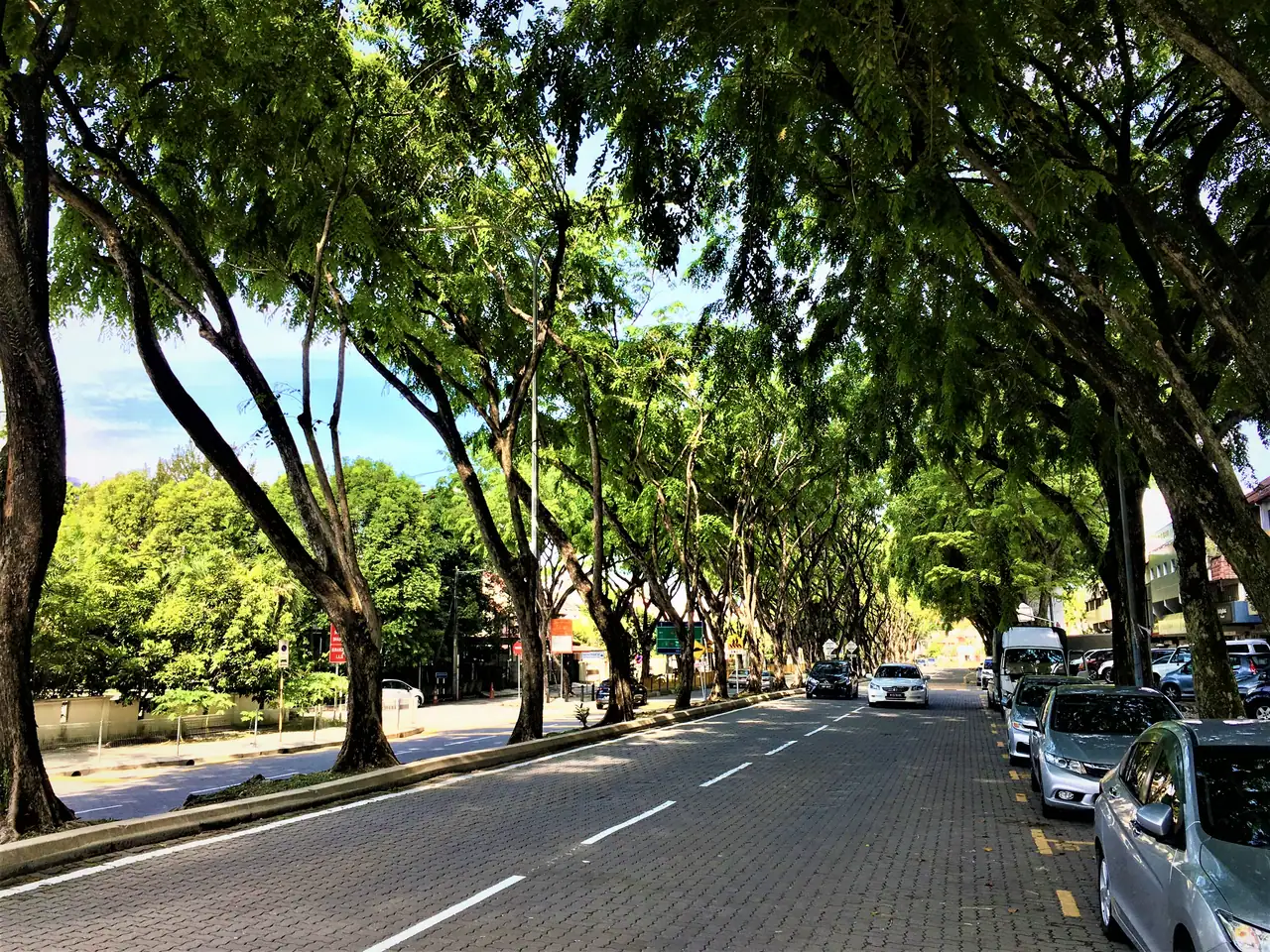 A quieter stretch of tree-lined Jalan Burhanuddin Helmi with parked cars under the trees