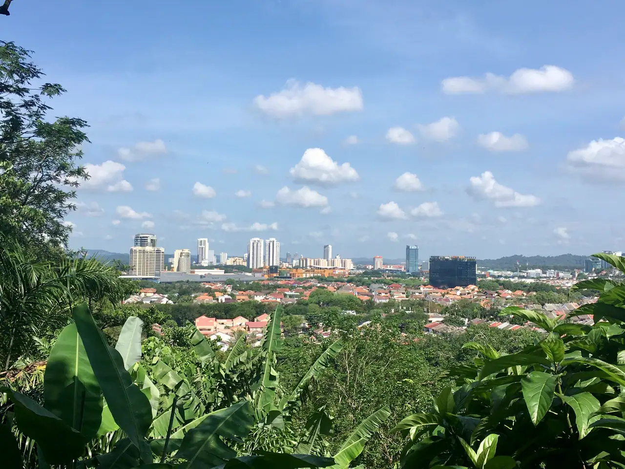 Taman Tun Dr Ismail, Bandar Utama and Mutiara Damansara seen from the green slopes of Bukit Kiara Park