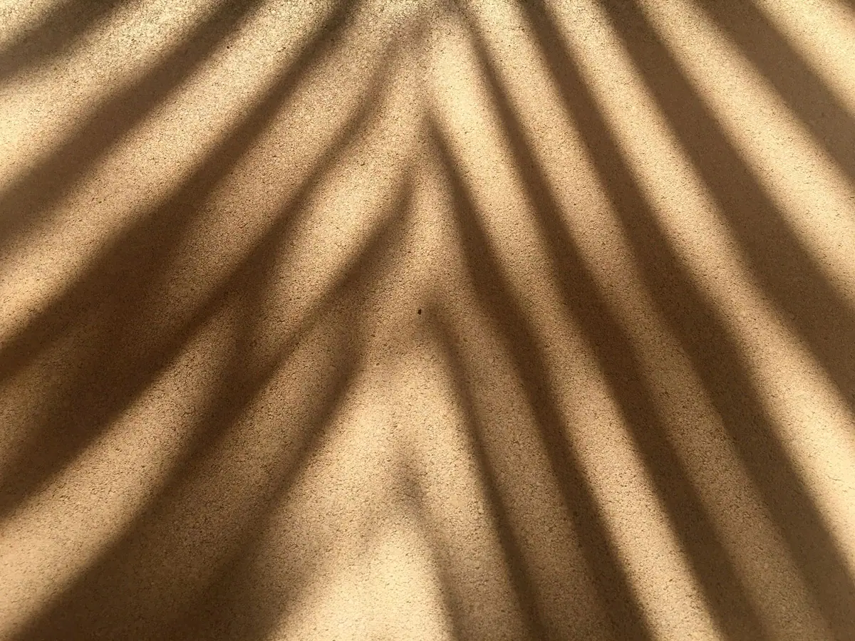 The shadow of a palm frond across a warm sand-coloured wall
